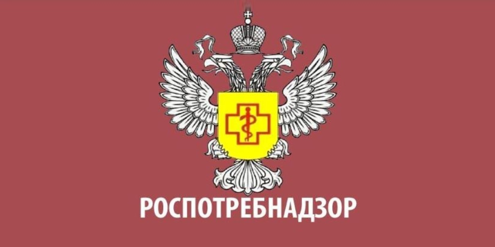 О принятии Сокольским территориальным отделом Роспотребнадзора по Вологодской области мер по пресечению нарушений требований антитабачного законодательства в 1 полугодии 2023 года..