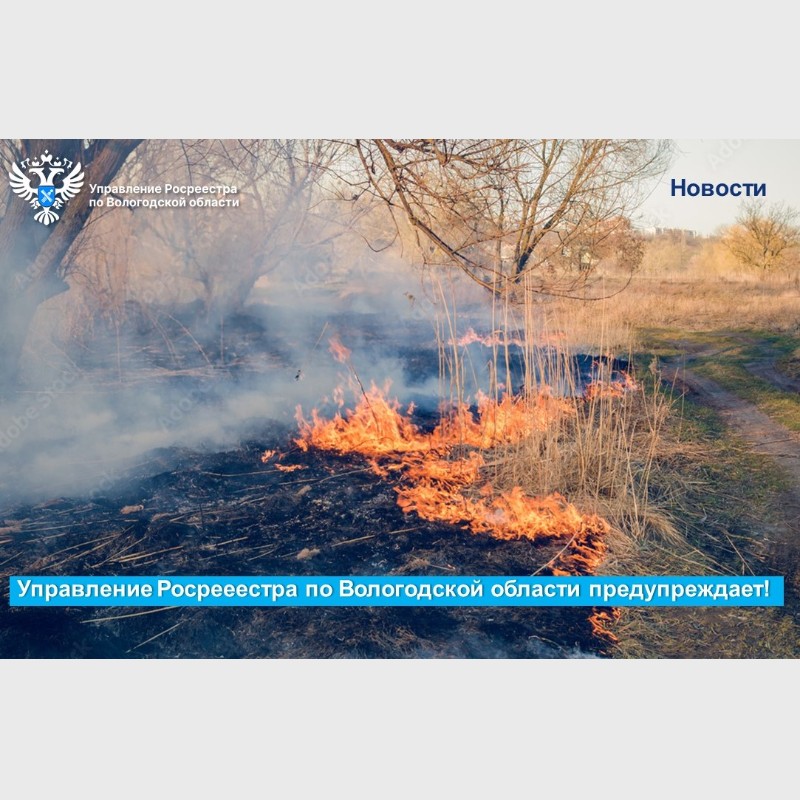 В Вологодском Росреестре напомнили о необходимости соблюдения мер пожарной безопасности на землях сельскохозяйственного назначения.