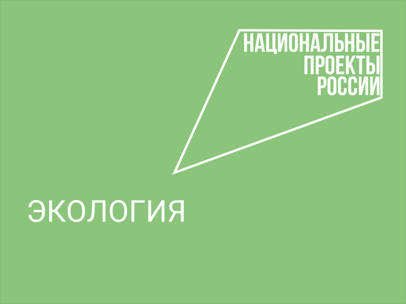 Более 30 мероприятий пройдет на Вологодчине в рамках Международной акции «Сад Памяти».