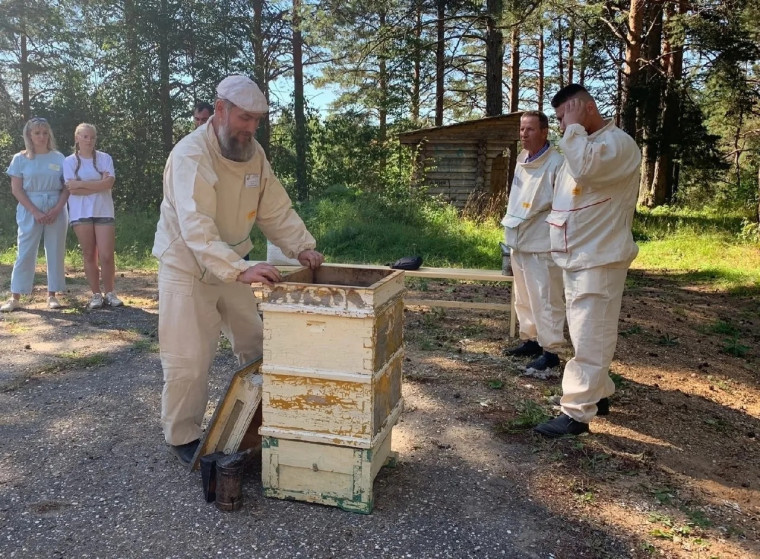 Областной конкурс  пчеловодов пройдет в Тарноге в августе.
